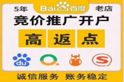 竞价推广策略：某电商平台的成功案例